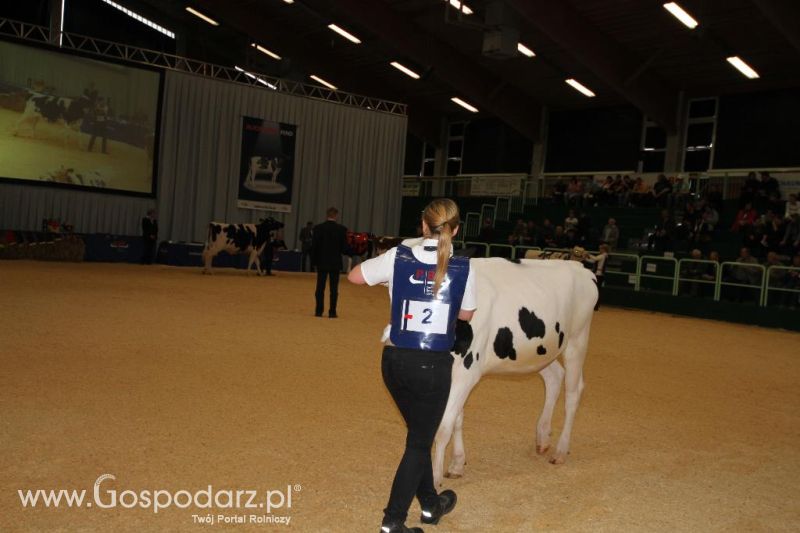 Wystawa  Blickpunkt Rind 2013 w miejscowości Paaren/Glien (Niemcy)