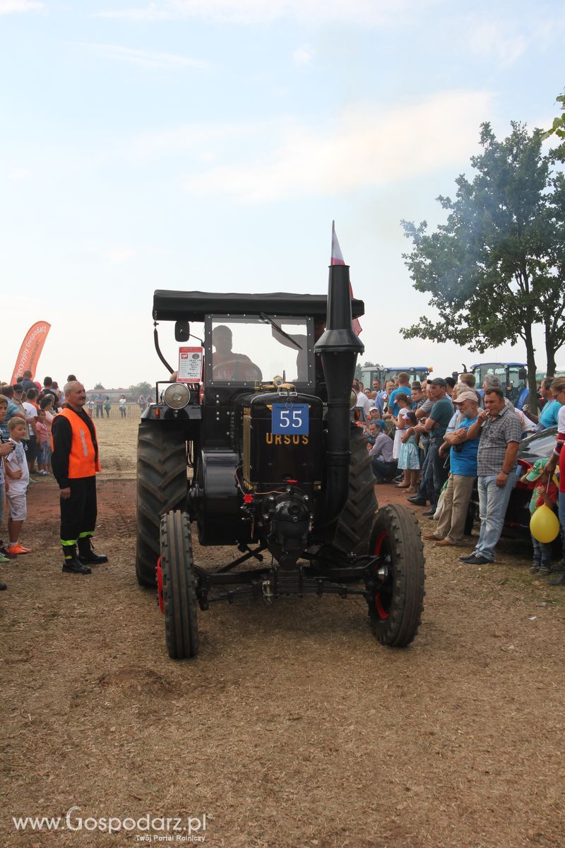Targi Roltechnika w Wilkowicach 2015