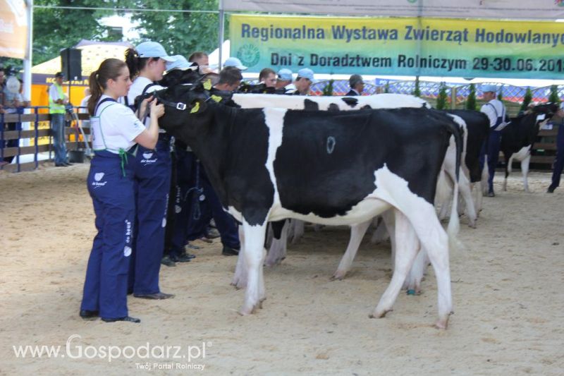 Regionalna Wystawa Zwierząt Hodowlanych i Dni z Doradztwem Rolniczym w Szepietowie-sobota