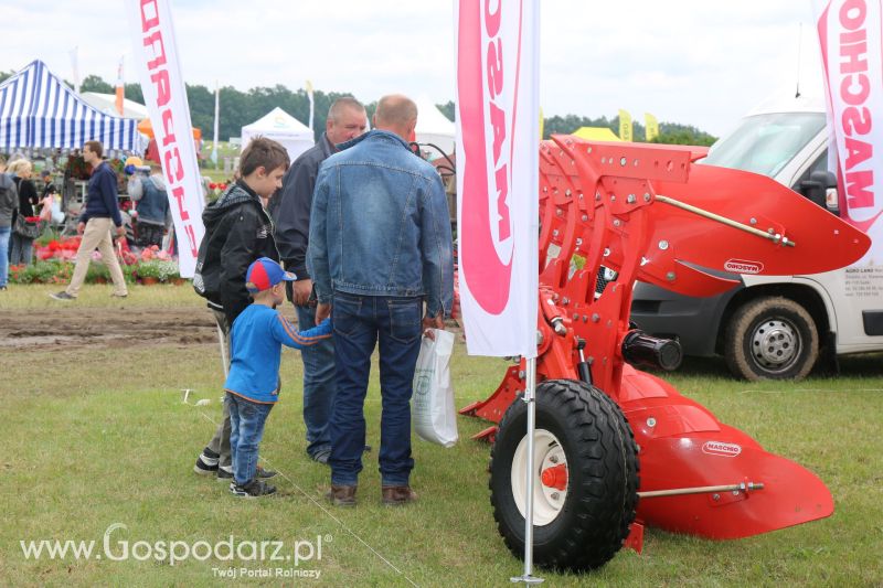 Maschio Gaspardo na AGRO-TECH Minikowo 2017