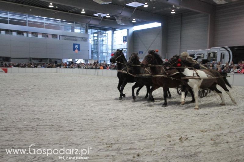 CAVALIADA 2013 w Poznaniu