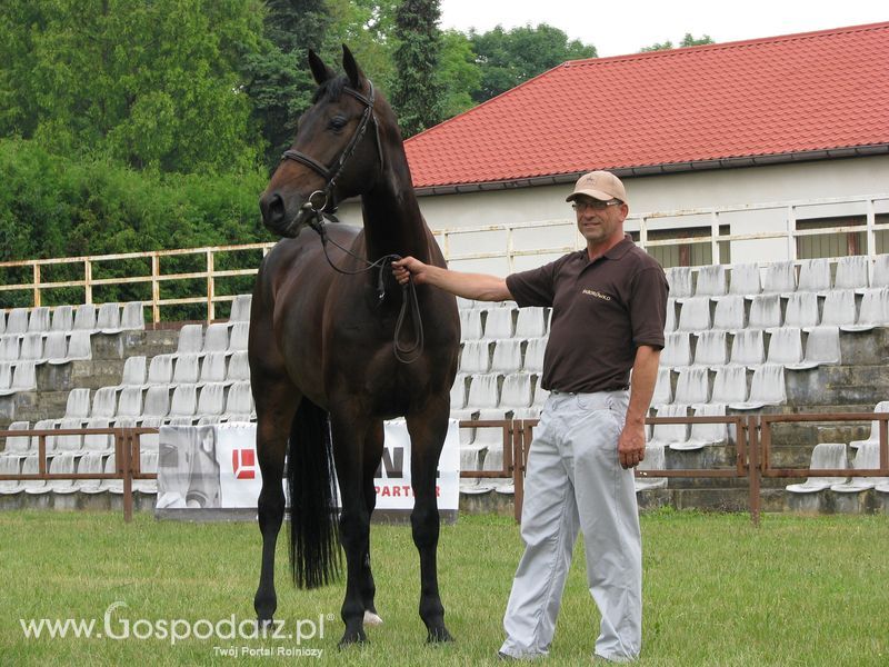 Wystawa Koni Sielinko 2011