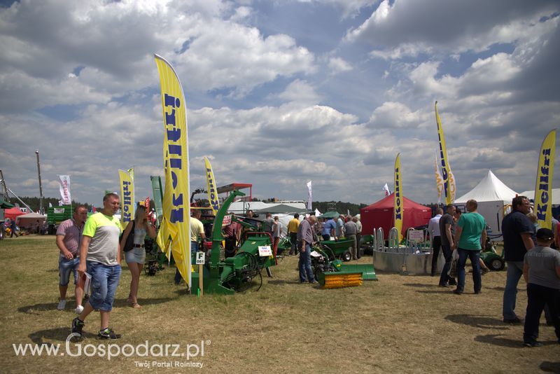 Kellfri na OPOLAGRZE 2016