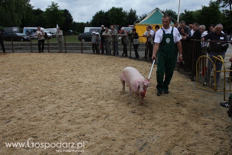 Wielkopolskie Targi Rolnicze „Sielinko 2011”  - Sobota