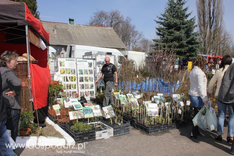 XX Agro-Targi 2011 w Starej Łubiance