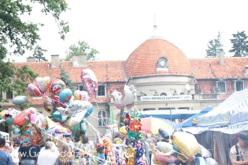  XX Targi Rolnicze Lubniewice