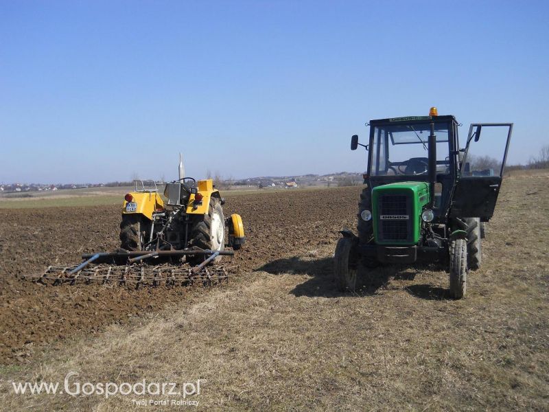 Wiosna 2013