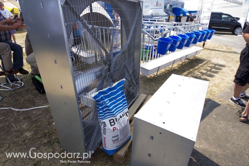 Blattin na OPOLAGRZE 2015