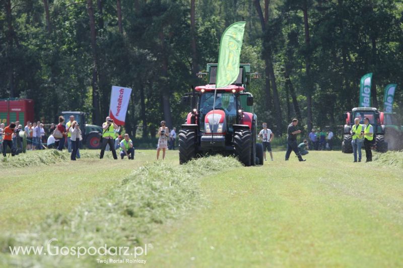 Zielone AGRO SHOW – POLSKIE ZBOŻA 2014 w Sielinku - sobota