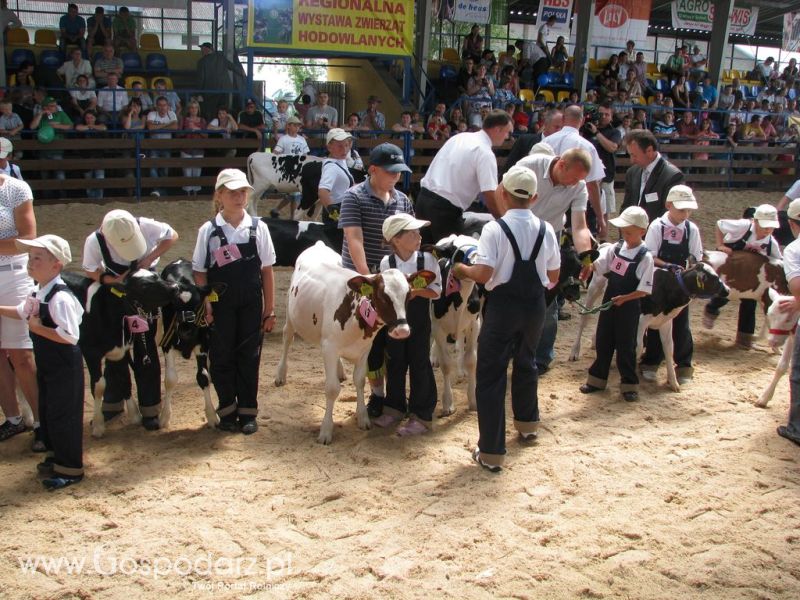 Młody Hodowca - Szepietowo 2012 XIX Regionalna Wystawa Zwierząt Hodowlanych