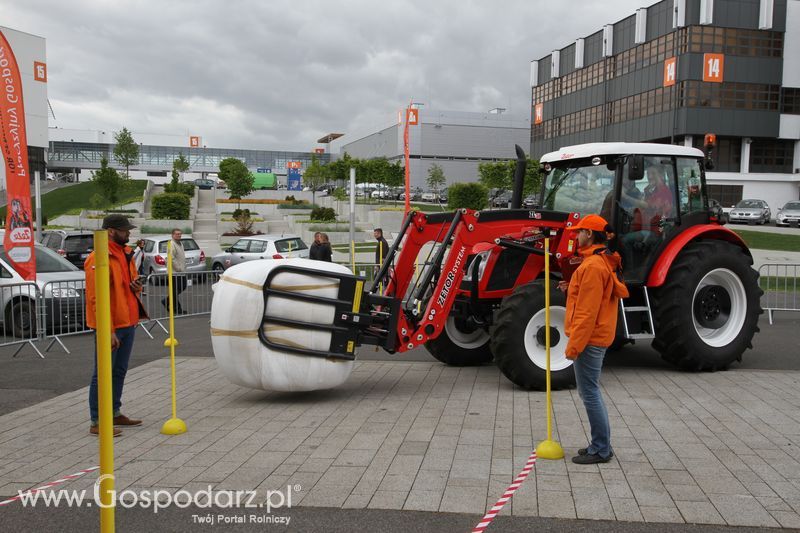 Precyzyjny Gospodarz na KWZH 2015 - niedziela