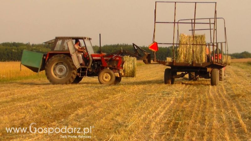 Zbiór Słomy 2013