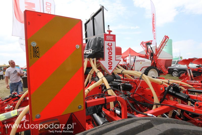 Maschio Gaspardoona na OPOLAGRA Kamień Śląski 2018