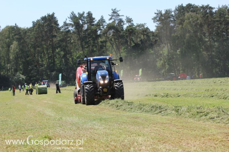 Zielone AGRO SHOW – POLSKIE ZBOŻA 2014 w Sielinku - sobota