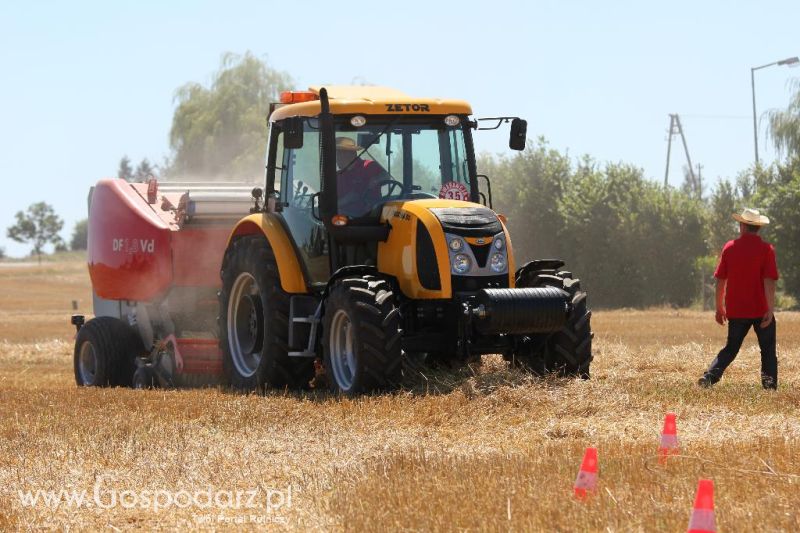 Zetor Family Tractor Show 2013 - Opatów