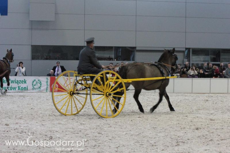 CAVALIADA 2013 w Poznaniu
