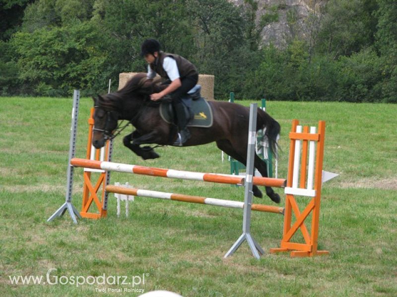 Krajowa Wystawa Ras Rodzimych Rudawka Rymanowska 2012