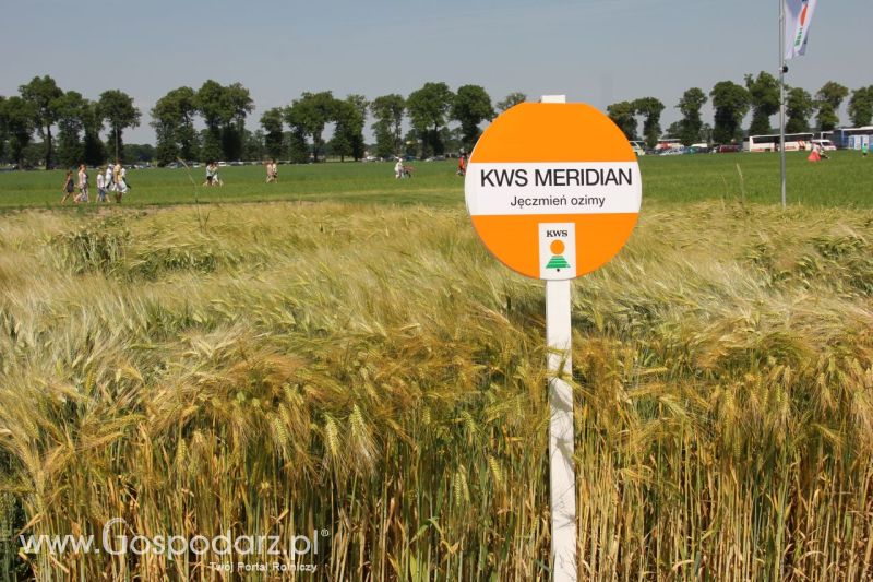 Zielone AGRO SHOW – POLSKIE ZBOŻA 2014 w Sielinku - niedziela