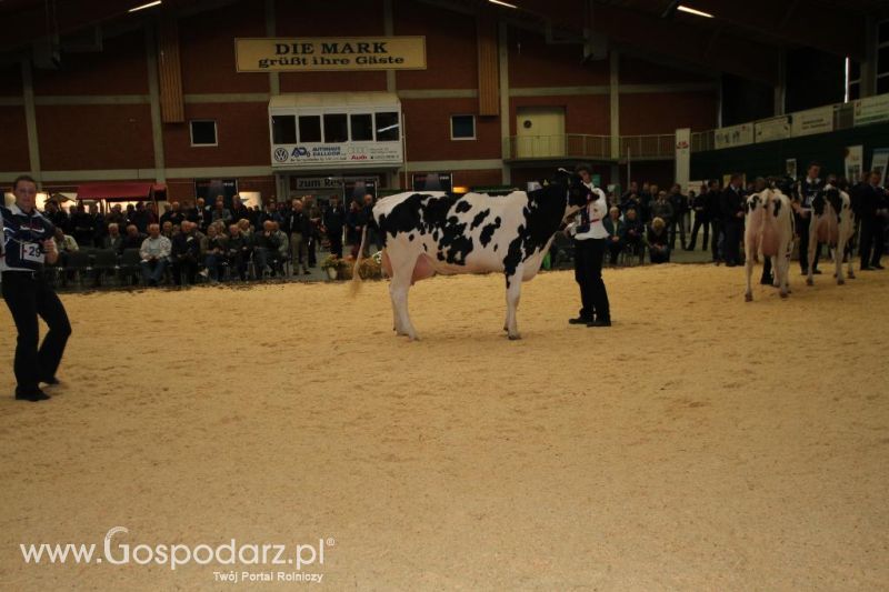Wystawa  Blickpunkt Rind 2013 w miejscowości Paaren/Glien (Niemcy)