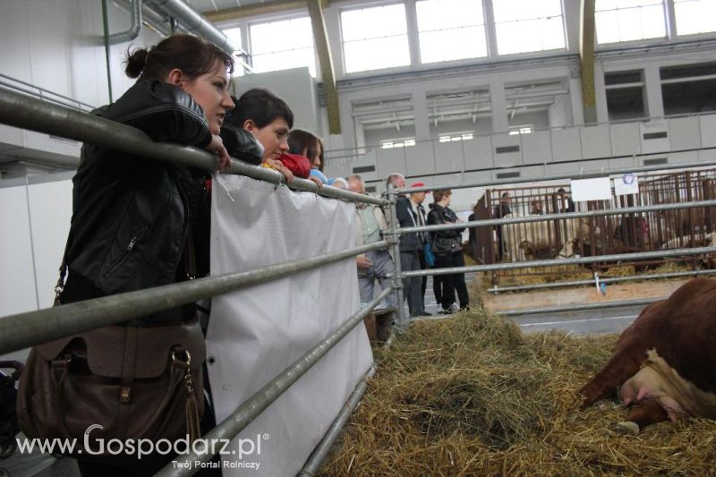 XXVI Krajowa Wystawa Zwierząt Hodowlanych - sobota i niedziela