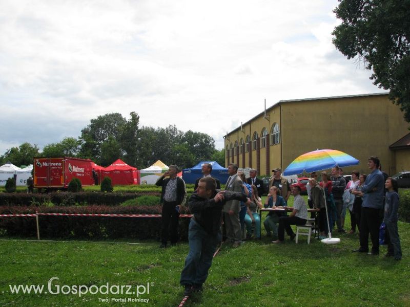 Festiwal Wieprzowiny w Koźminie Wielkopolskim 2013