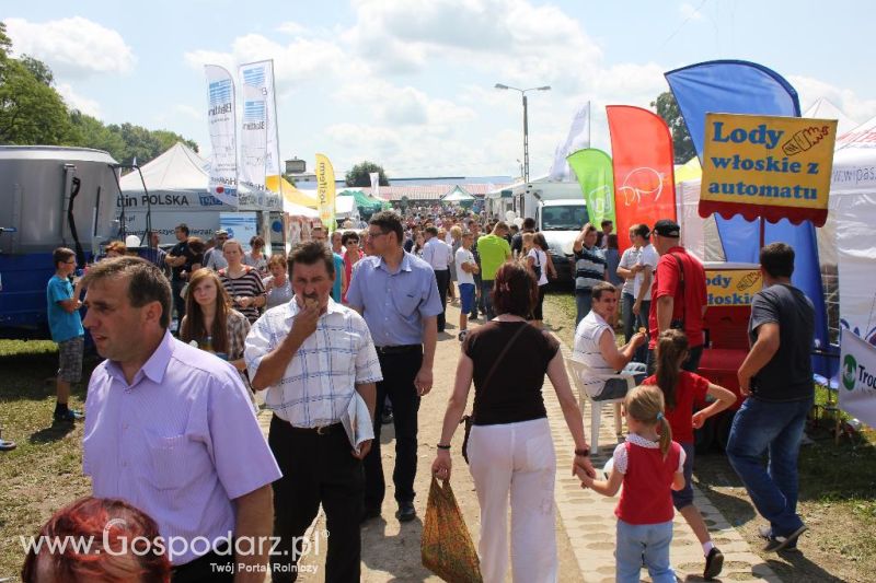 Regionalna Wystawa Zwierząt Hodowlanych i Dni z Doradztwem Rolniczym w Szepietowie-sobota