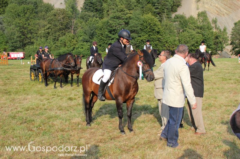 Pokazy konne i wręczenie nagród w Rudawce Rymanowskiej