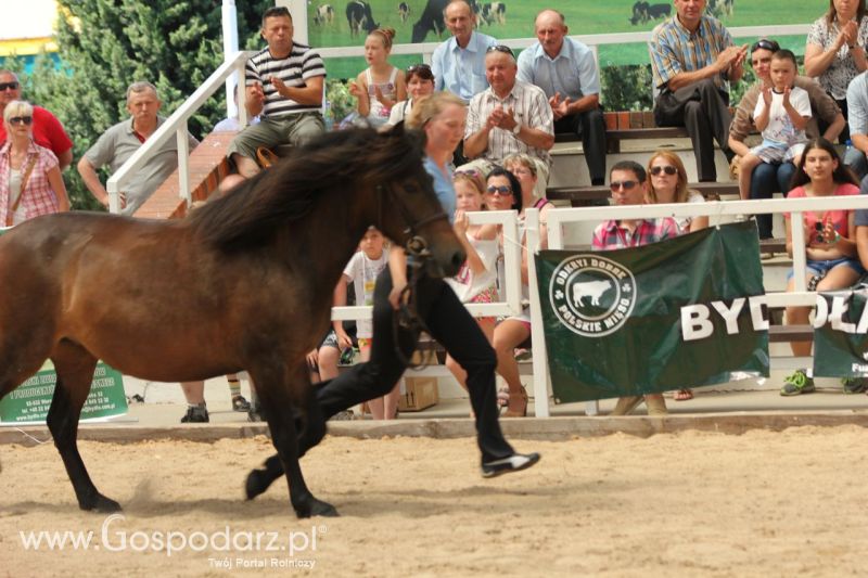 Zielone AGRO SHOW – POLSKIE ZBOŻA 2014 w Sielinku - niedziela