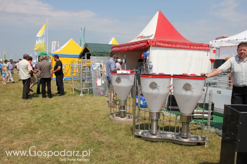 Polnet na Opolagra 2012
