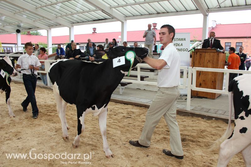 Wystawa bydła Sielinko 2011