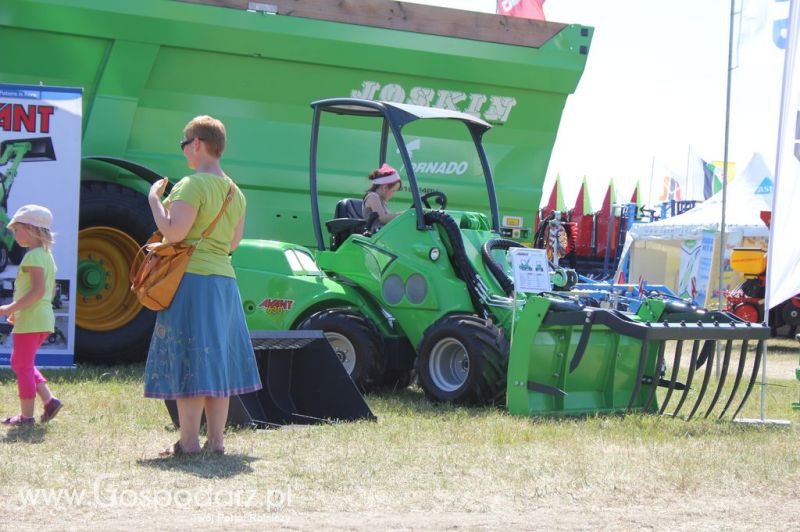 Serafin na Opolagra 2012