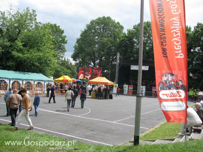 Festiwal Wieprzowiny w Koźminie Wielkopolskim 2013