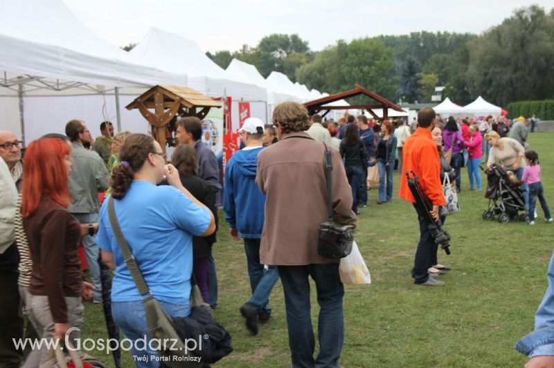 Świętomięs Polski w Chorzowie