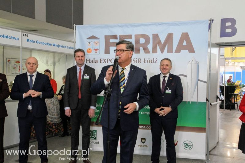 FERMA 2020 dzień 1