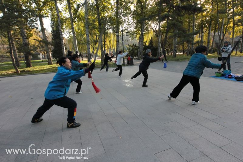 Gospodarz.pl w Chinach