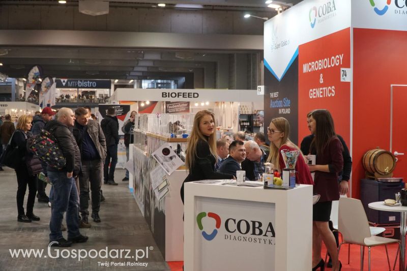 XXXVI Olimpiada Gołębi i Targi Gołębi Pocztowych i Akcesoriów otwarcie - dzień pierwszy