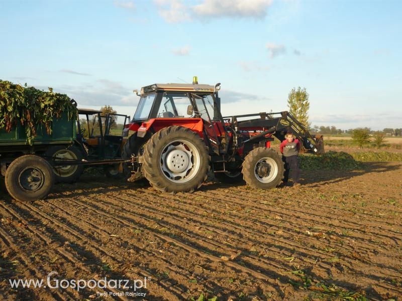 Buraki 2011