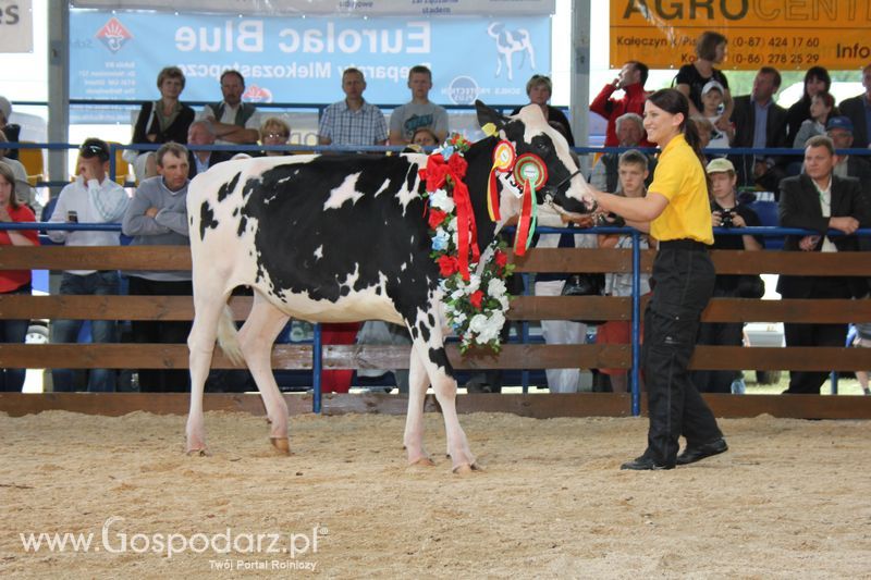 Wręczenie nagród na XVIII Regionalnej Wystawie Zwierząt Hodowlanych w Szepietowie