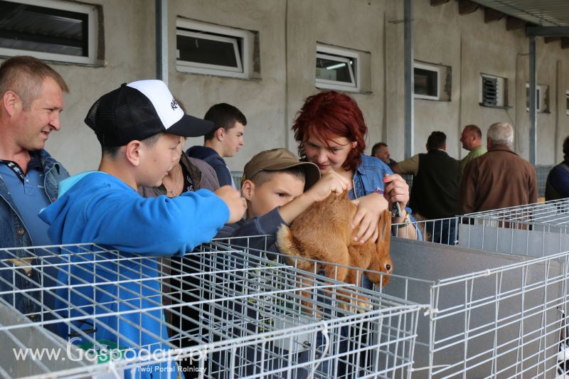 Regionalna Wystawa Zwierząt Hodowlanych i Dni z Doradztwem Rolniczym w Szepietowie 2017