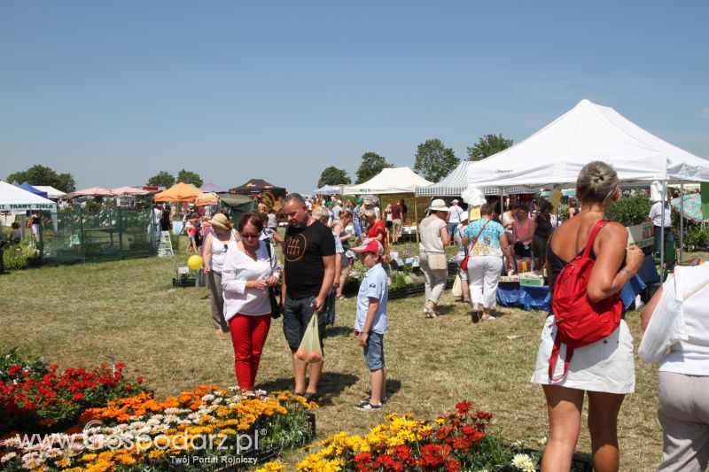 Targi Agro -Tech w Minikowie 2015
