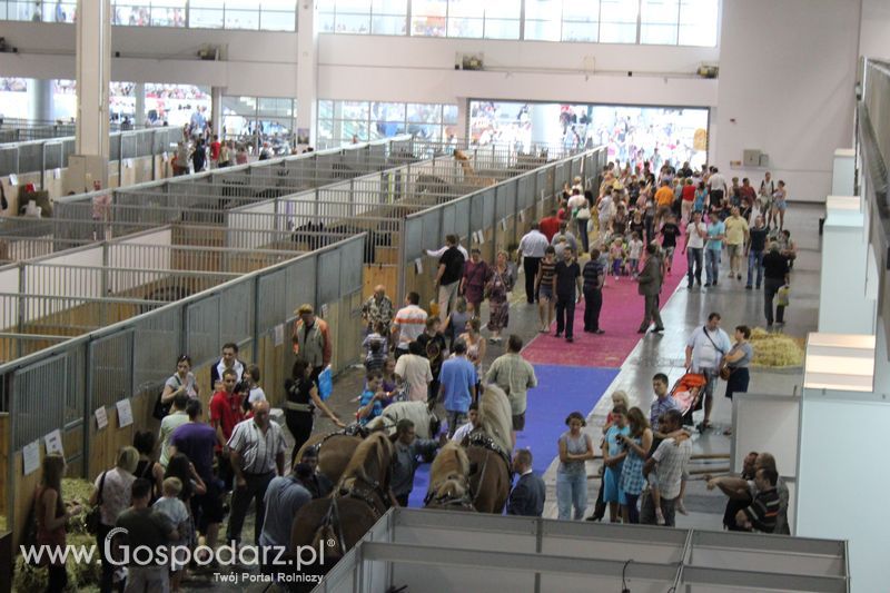 XXV Krajowa Wystawa Zwierząt Hodowlanych Niedziela