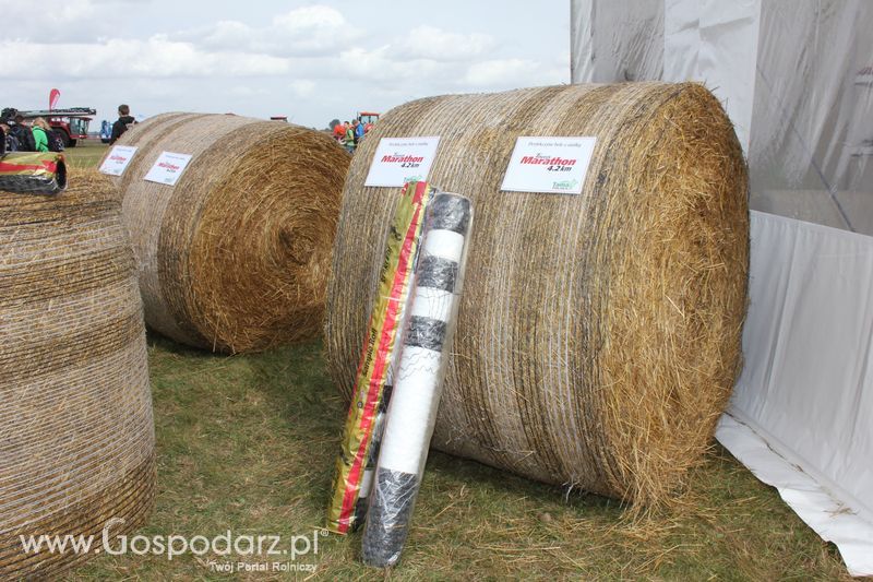 Tama na targach rolniczych Agroshow w Bednarach (2011).