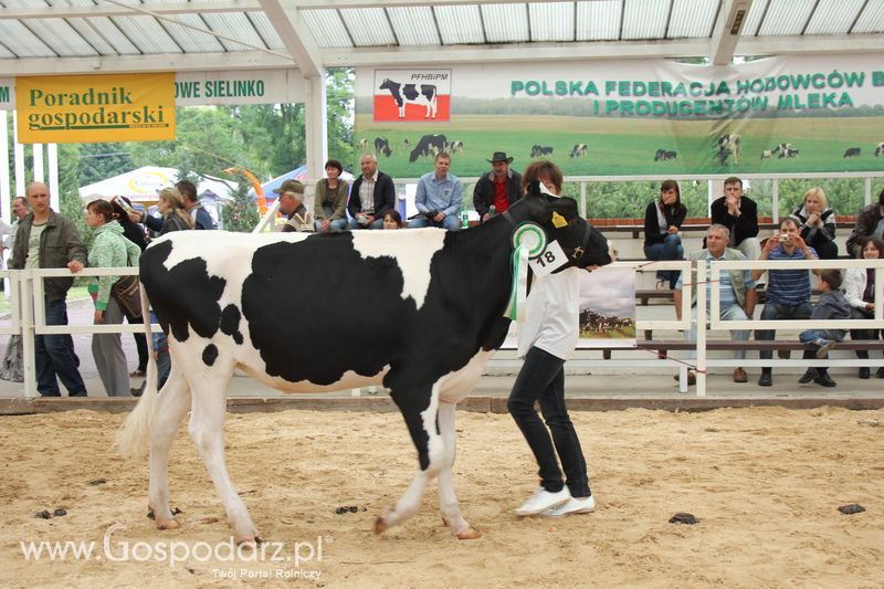 Wystawa bydła Sielinko 2011