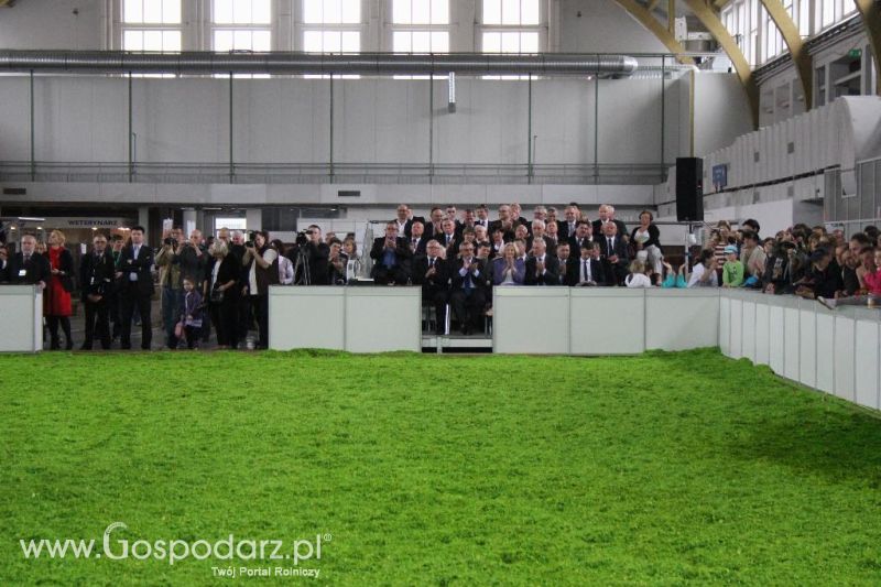 XXVI Krajowa Wystawa Zwierząt Hodowlanych - sobota i niedziela