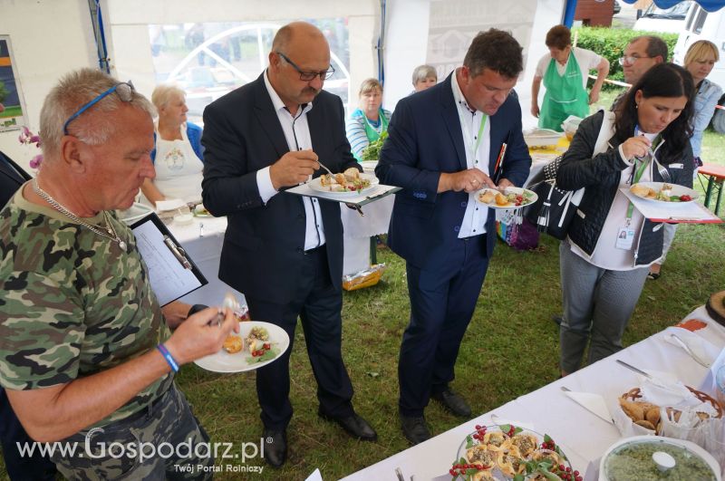 V Ogólnopolski Festiwal Wieprzowiny w Koźminie Wielkopolskim