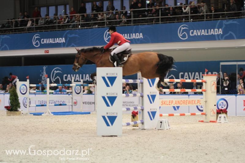 CAVALIADA 2013 w Poznaniu