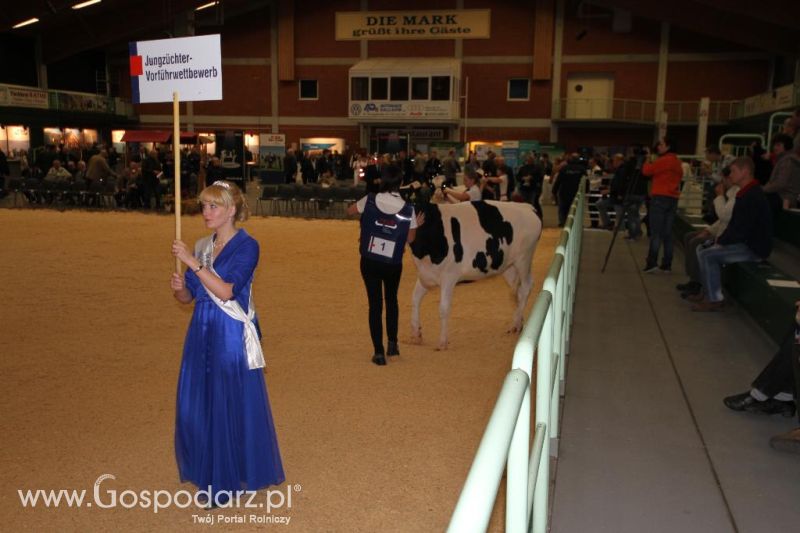 Wystawa  Blickpunkt Rind 2013 w miejscowości Paaren/Glien (Niemcy)