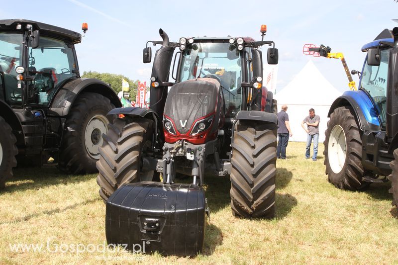 AGCO na Zielonym AGRO SHOW - Polskie Zboża 2015 w Sielinku