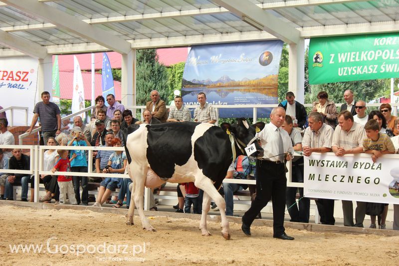 Czempioni XVII Regionalnej Wystawy Zwierząt Hodowlanych Sielinko 2011