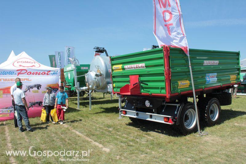 Polskie Zboża 2011 - Piątek 